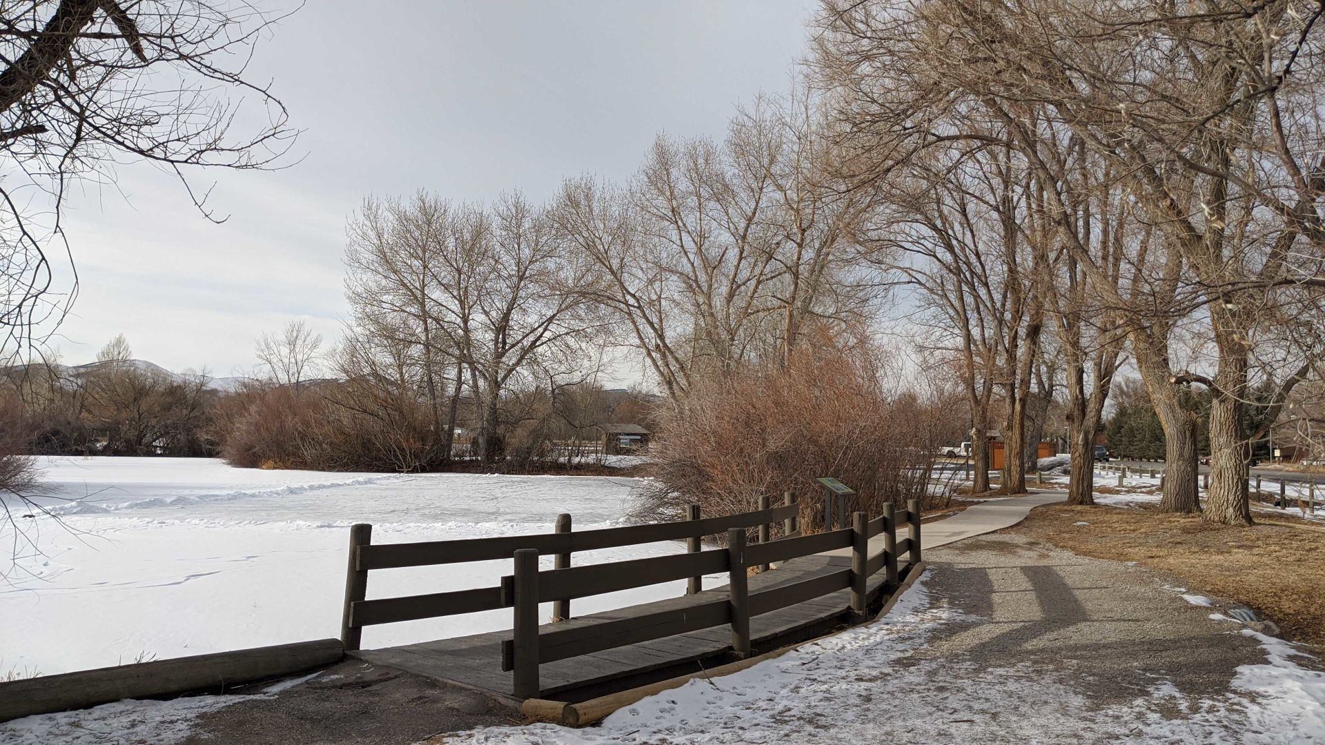 Spring Meadow Lake